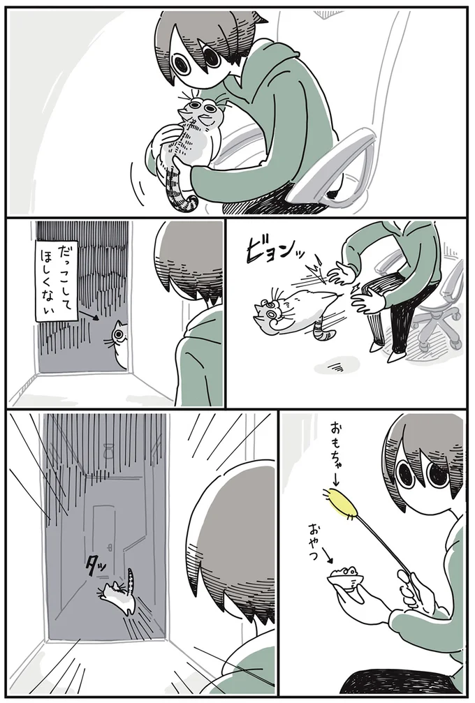 なで？ 抱っこ？ 遊び？ 猫が近くに来てじっと見つめ「求めていること」は／夜は猫といっしょ 15615059.webp