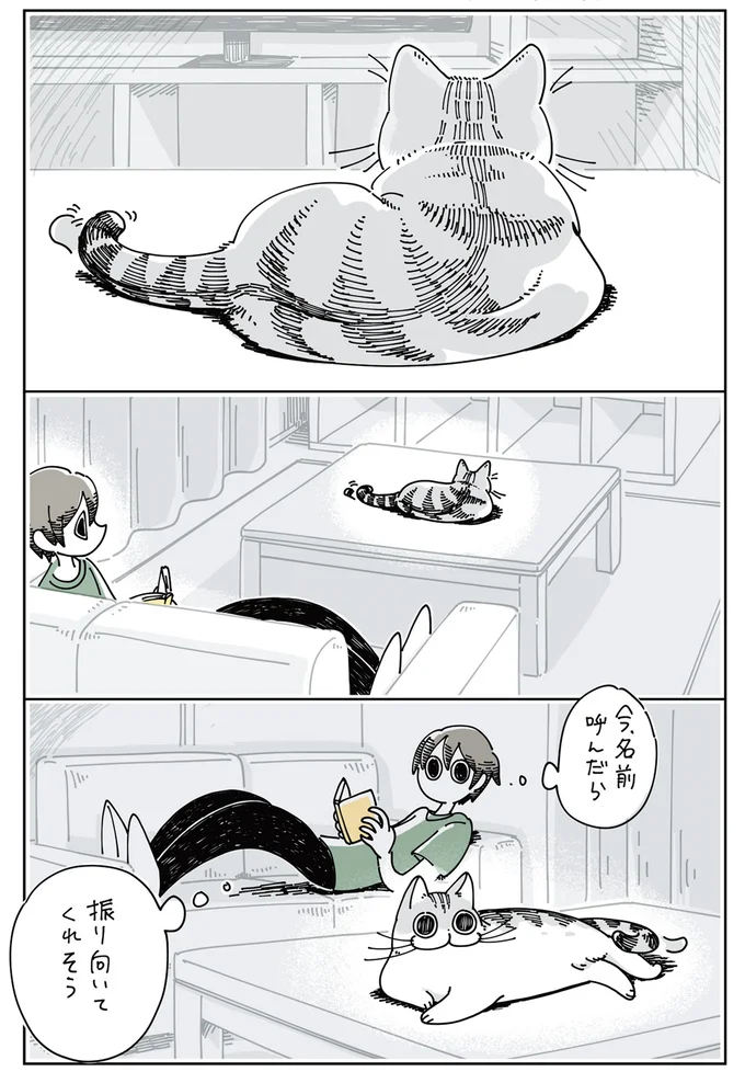 『夜は猫といっしょ』1～3 15615238.webp