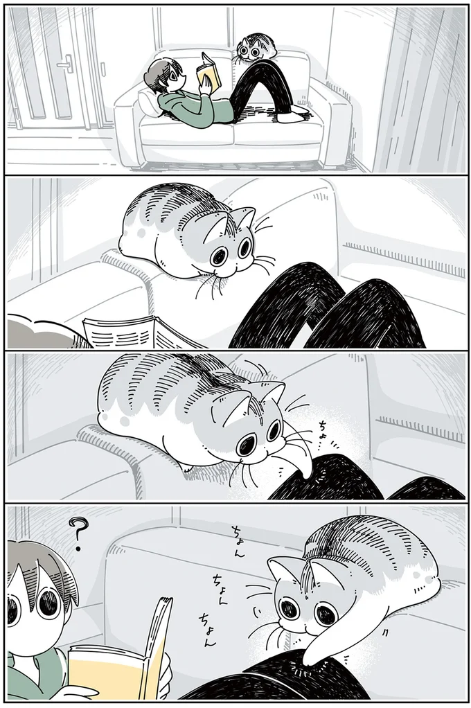 『夜は猫といっしょ』1～3 15615273.webp