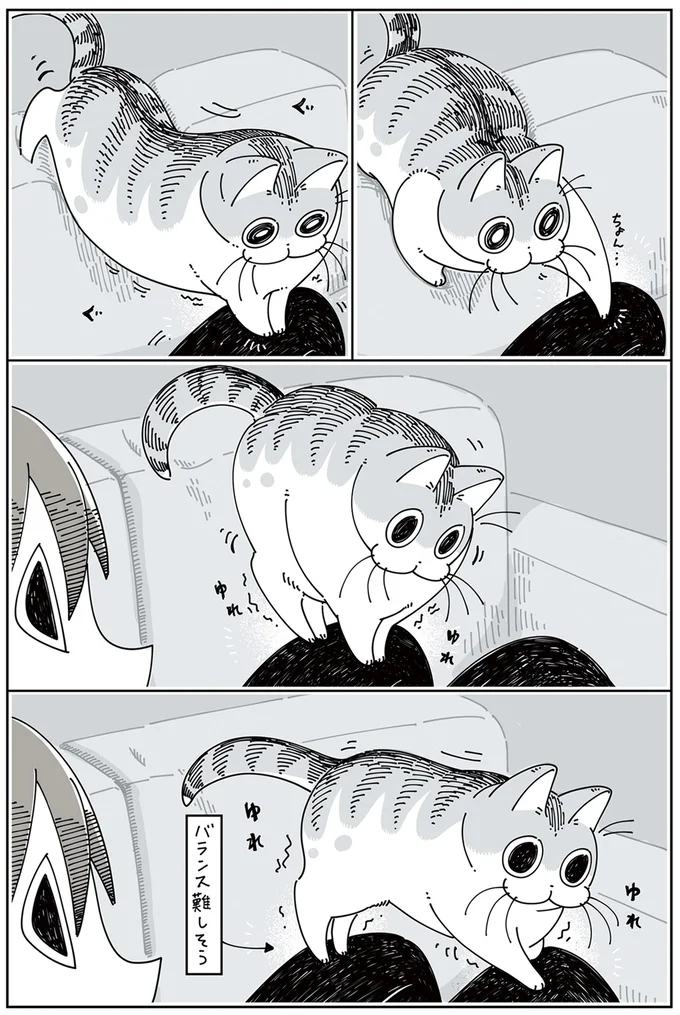 『夜は猫といっしょ』1～3 15615274.webp