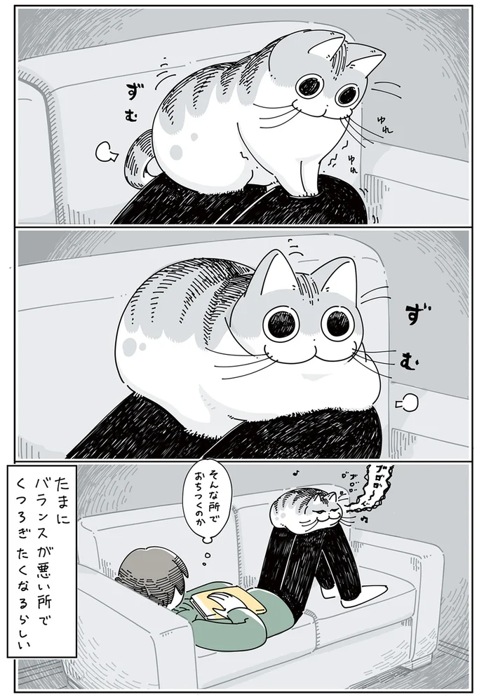 『夜は猫といっしょ』1～3 15615275.webp