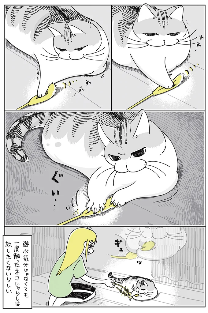 猫じゃらしで誘っても無反応な愛猫。相手にする気もなし...と思いきや!?／夜は猫といっしょ4 15615313.webp