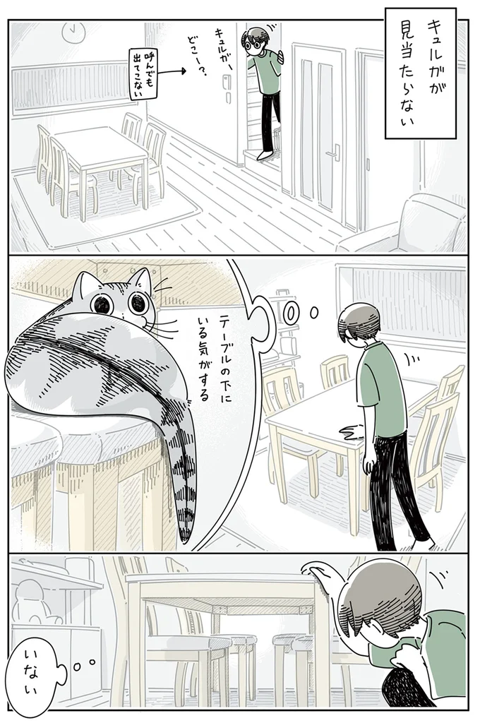 猫じゃらしで誘っても無反応な愛猫。相手にする気もなし...と思いきや!?／夜は猫といっしょ4 15615314.webp