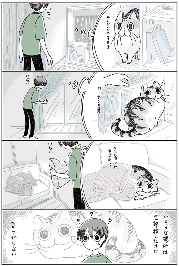 猫じゃらしで誘っても無反応な愛猫。相手にする気もなし...と思いきや!?／夜は猫といっしょ4 15615315.webp