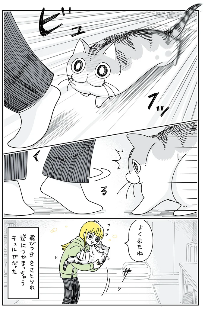 『夜は猫といっしょ』4～6 15615383.webp