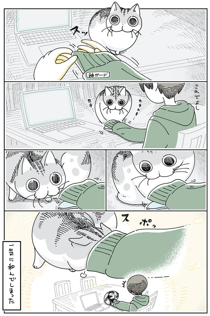 『夜は猫といっしょ』4～6 15615387.webp