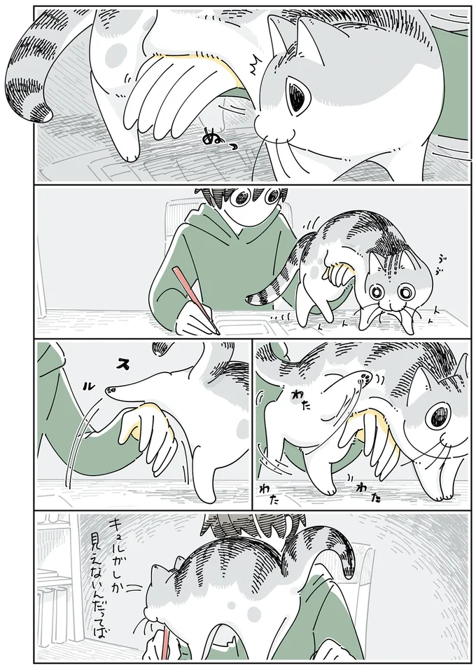 『夜は猫といっしょ』4～6 15615392.webp