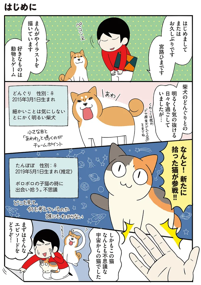 『ドヤ顔柴犬どんぐり』1～3 15636375.webp