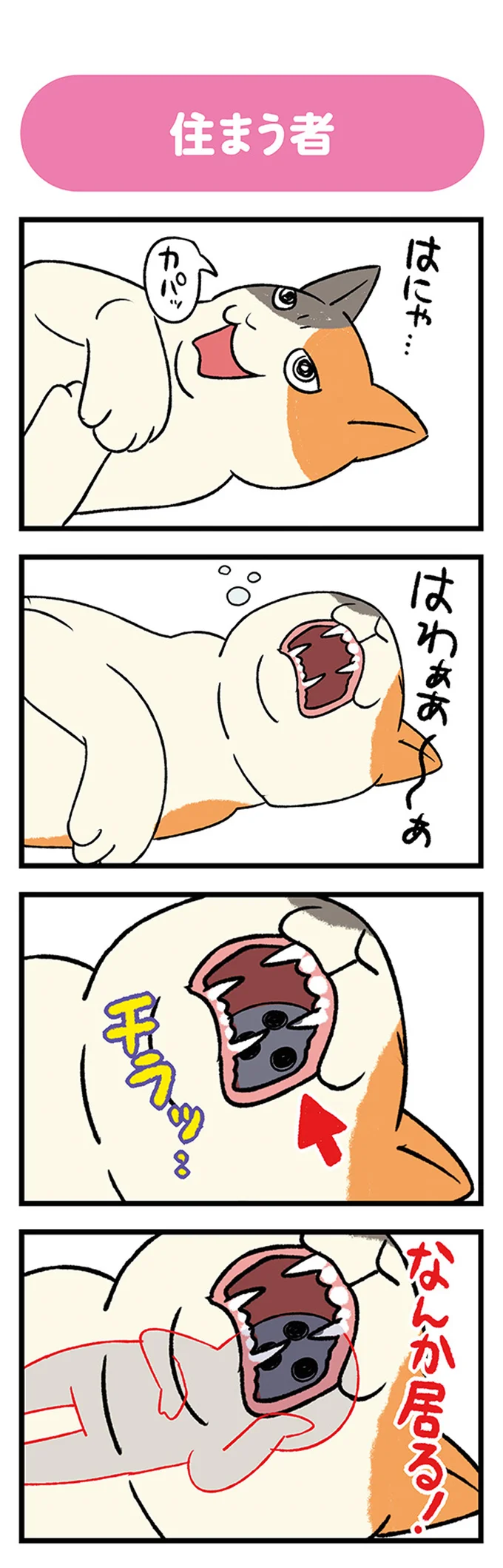 『ドヤ顔柴犬どんぐり』1～3 15636383.webp