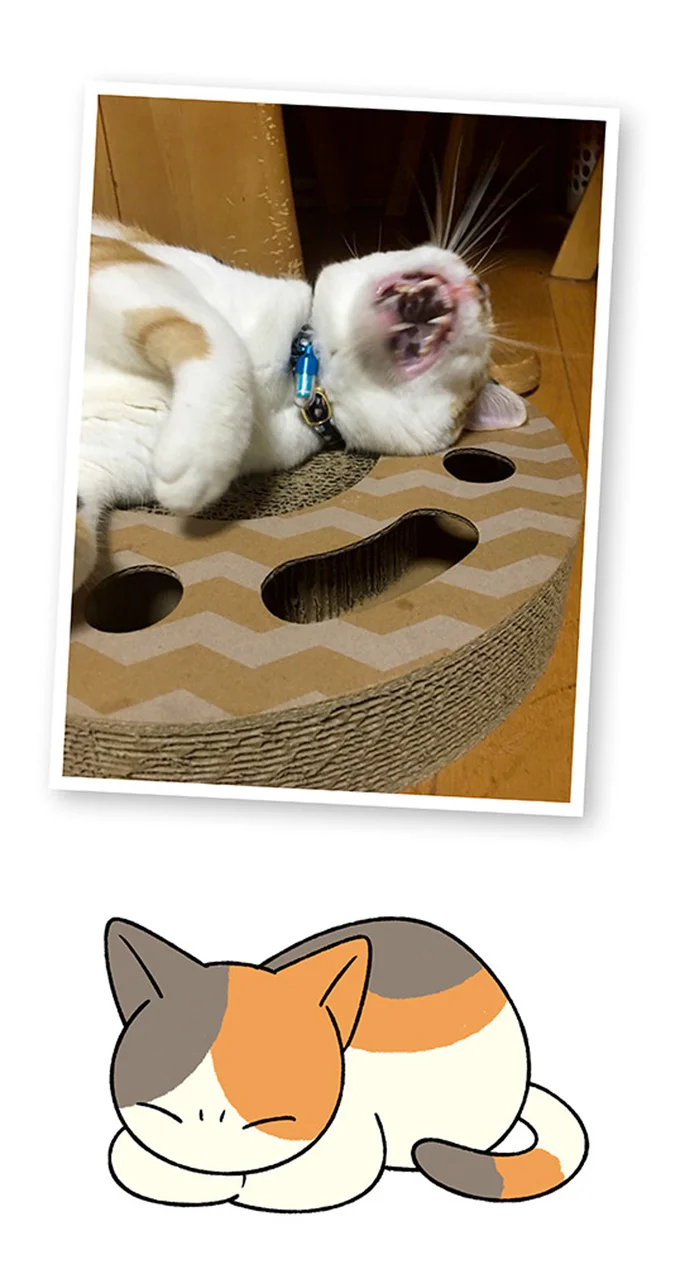 『ドヤ顔柴犬どんぐり』1～3 15636384.webp