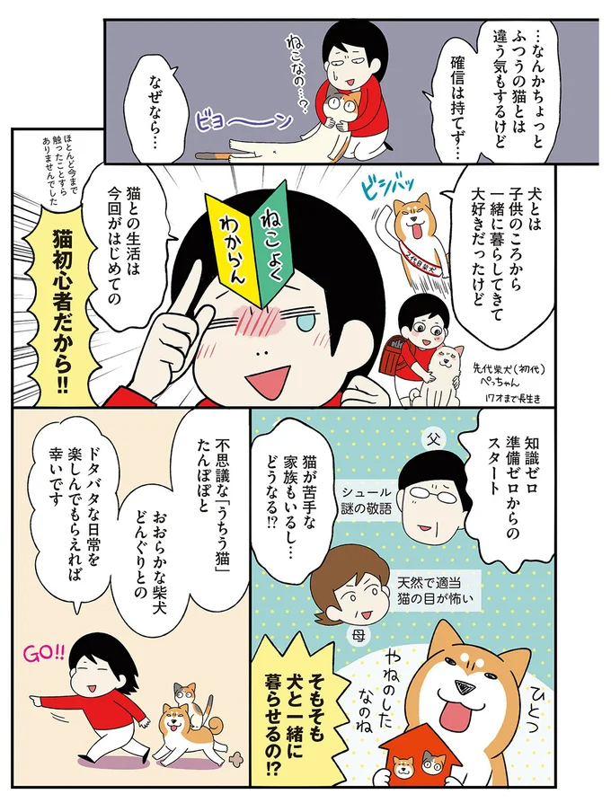 『ドヤ顔柴犬どんぐり』1～3 15636386.webp