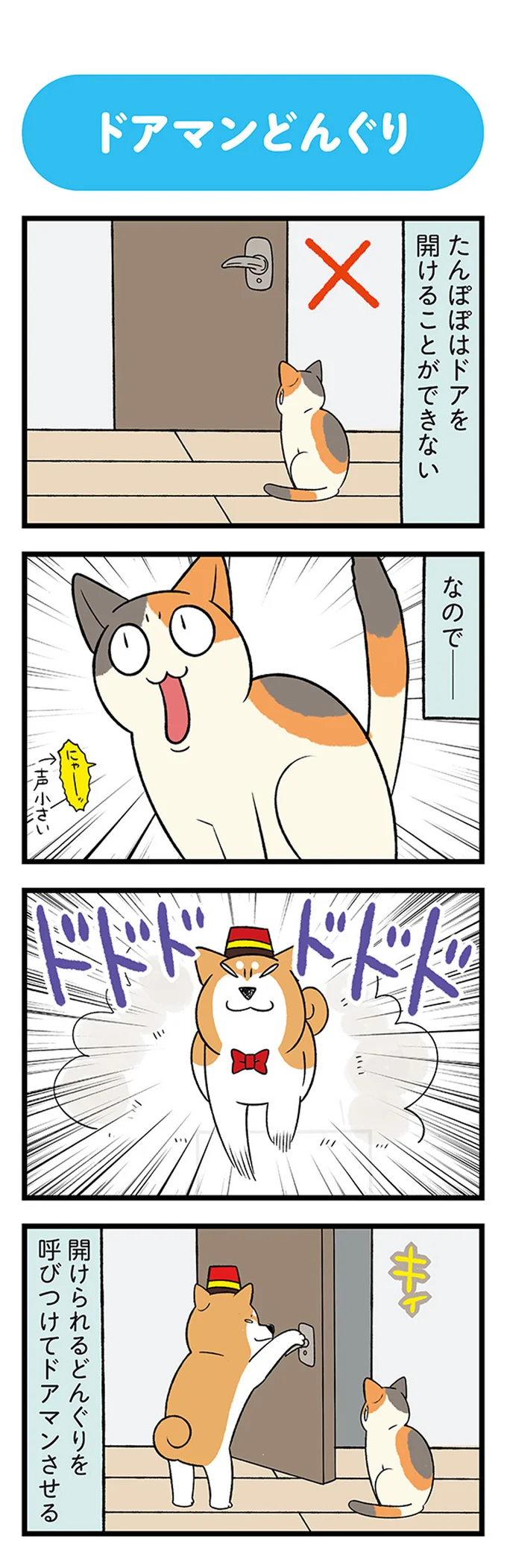 『ドヤ顔柴犬どんぐり』1～3 15636781.webp