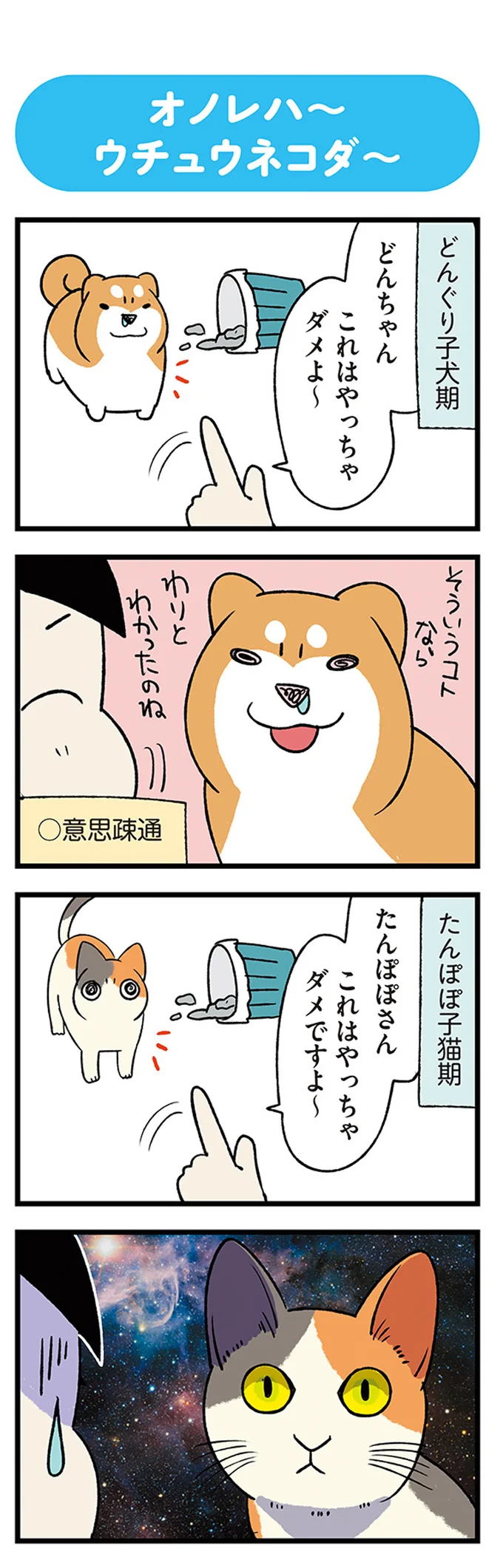 『ドヤ顔柴犬どんぐり』1～3 15636868.webp
