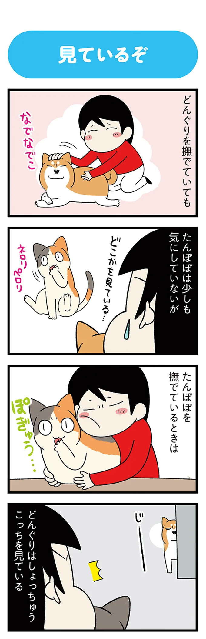 『ドヤ顔柴犬どんぐり』1～3 15636905.webp