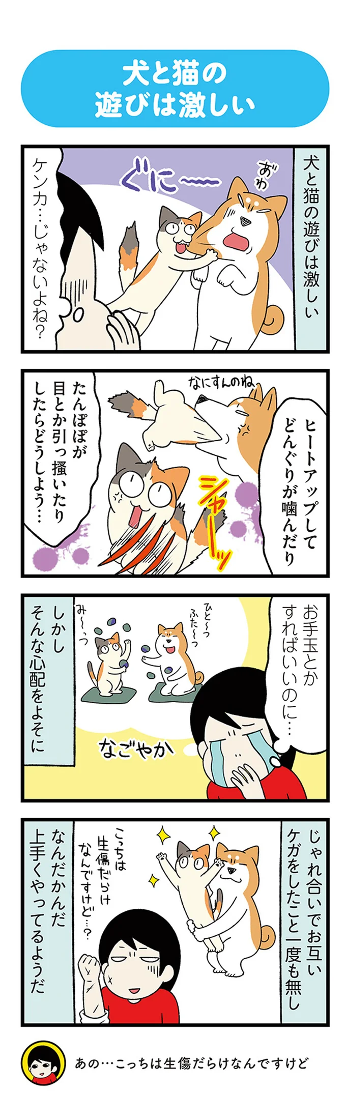 『ドヤ顔柴犬どんぐり』1～3 15636929.webp
