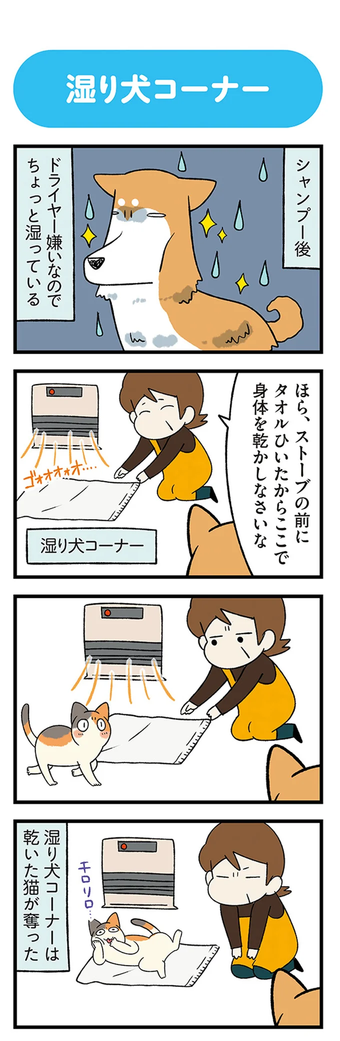 『ドヤ顔柴犬どんぐり』1～3 15636961.webp