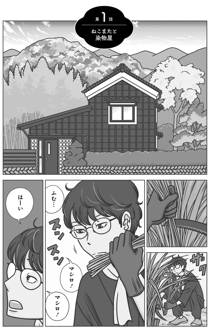 「体が大きい鬼みたいなのがうろついてると...」 近所のウワサの真相は!?/ねこまた印の染物屋さん 15642722.webp