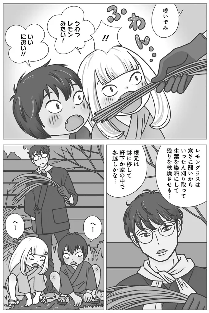 『ねこまた印の染物屋さん』 15642724.webp