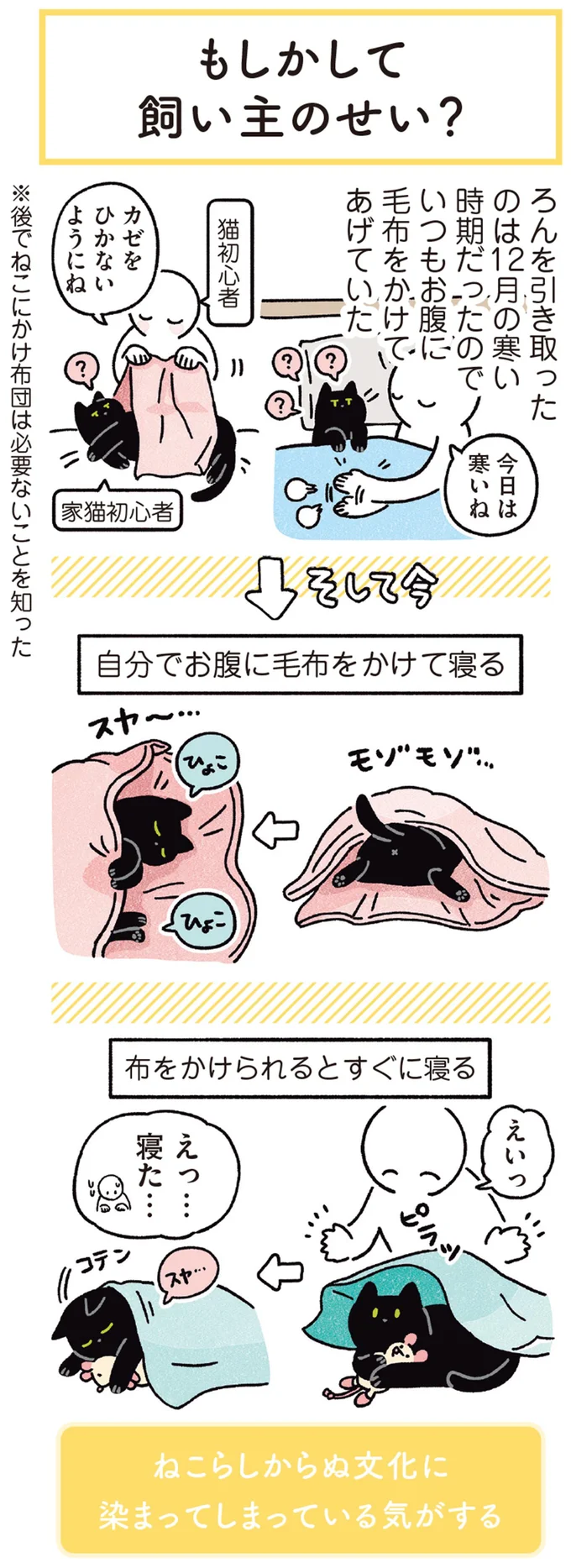 『黒猫ろんと暮らしたら』1～3 15649762.webp