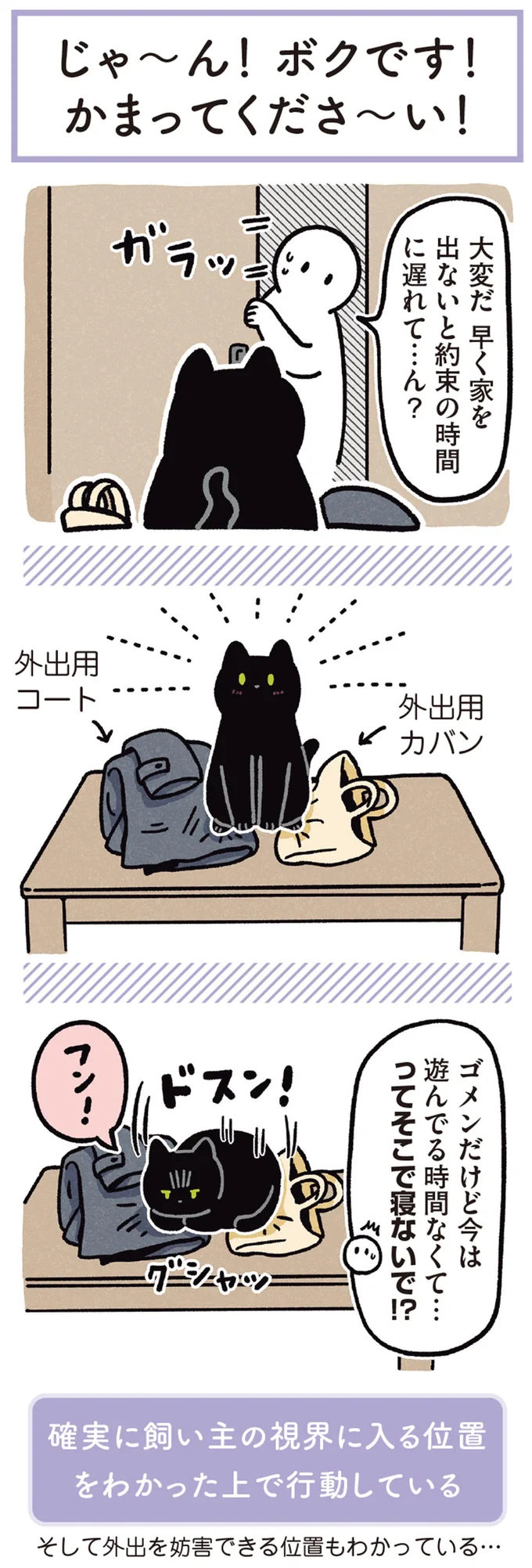 『黒猫ろんと暮らしたら』1～3 15649783.webp