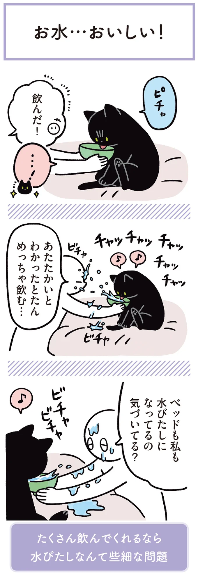 『黒猫ろんと暮らしたら』1～3 15649857.webp