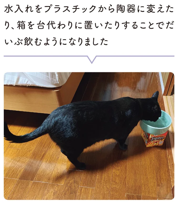 『黒猫ろんと暮らしたら』1～3 15649862.webp