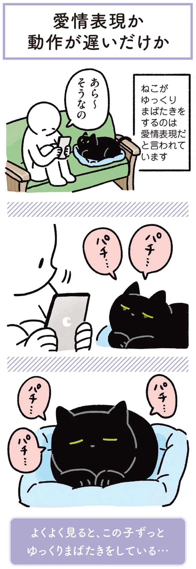 『黒猫ろんと暮らしたら』1～3 15649875.webp