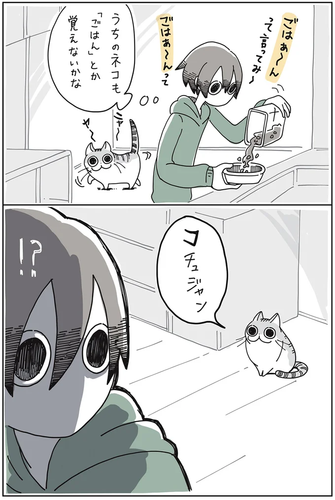 『夜は猫といっしょ』1～3 15649942.webp