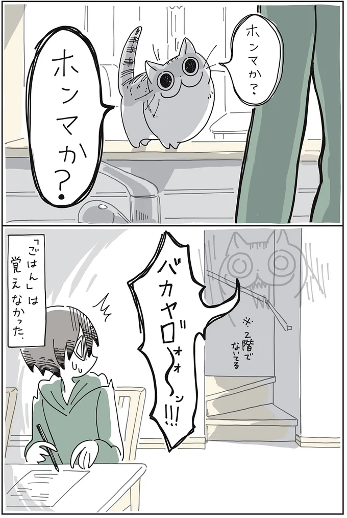 『夜は猫といっしょ』1～3 15649943.webp