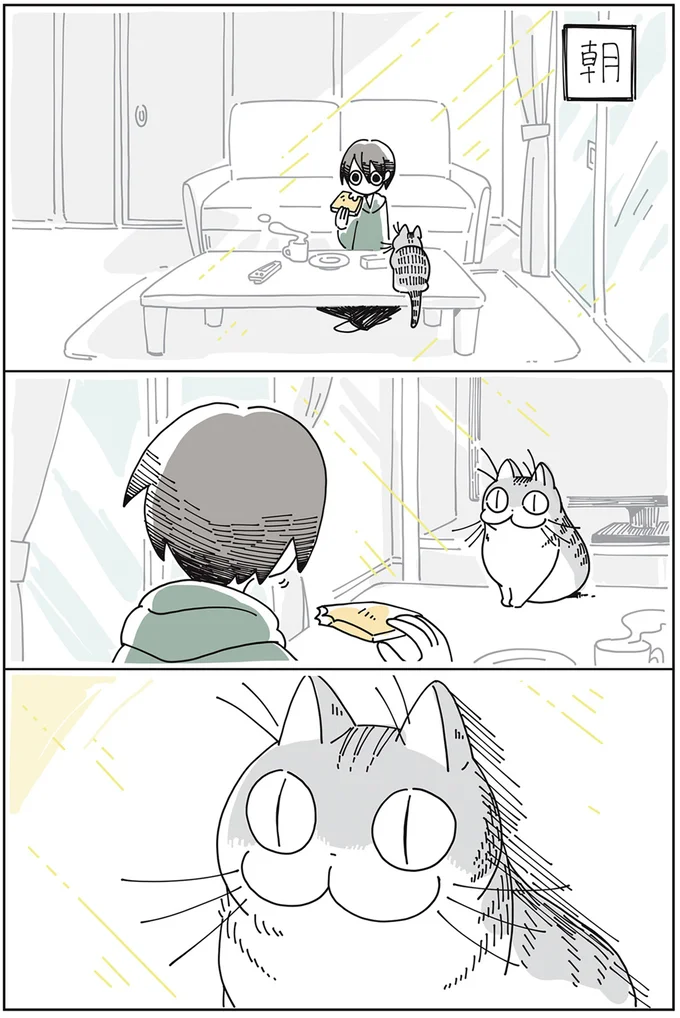 『夜は猫といっしょ』1～3 15649959.webp