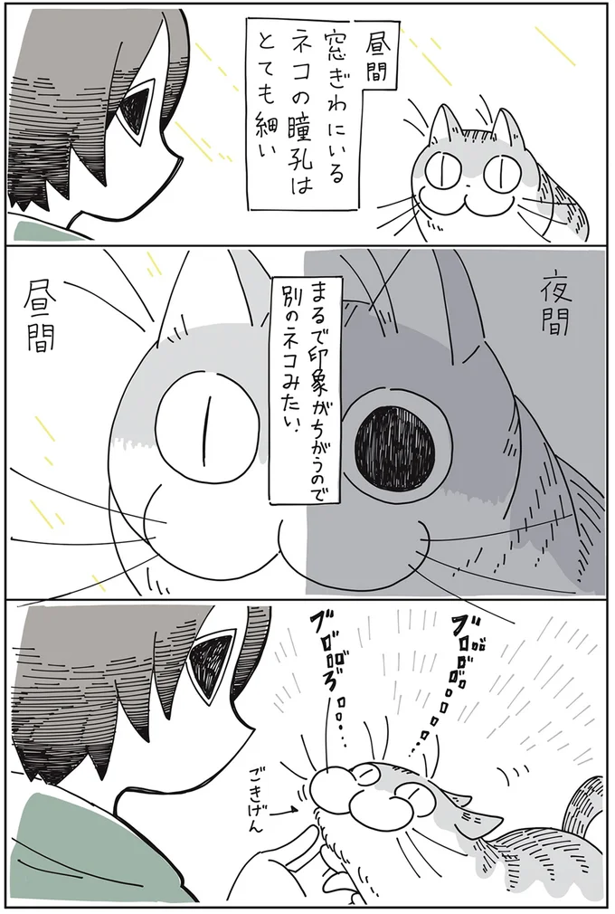 『夜は猫といっしょ』1～3 15649960.webp