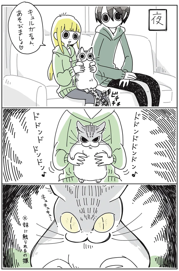 『夜は猫といっしょ』1～3 15649961.webp