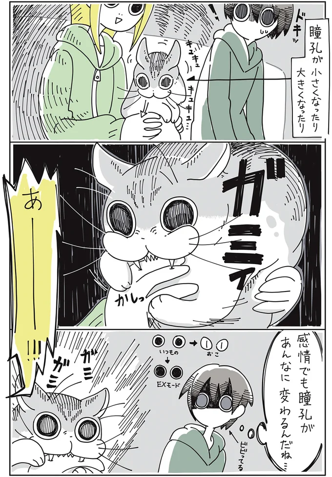 『夜は猫といっしょ』1～3 15649962.webp