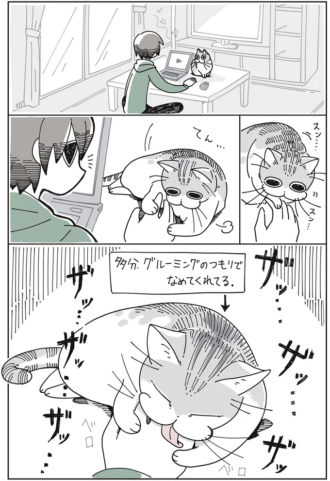 『夜は猫といっしょ』1～3 15649965.webp