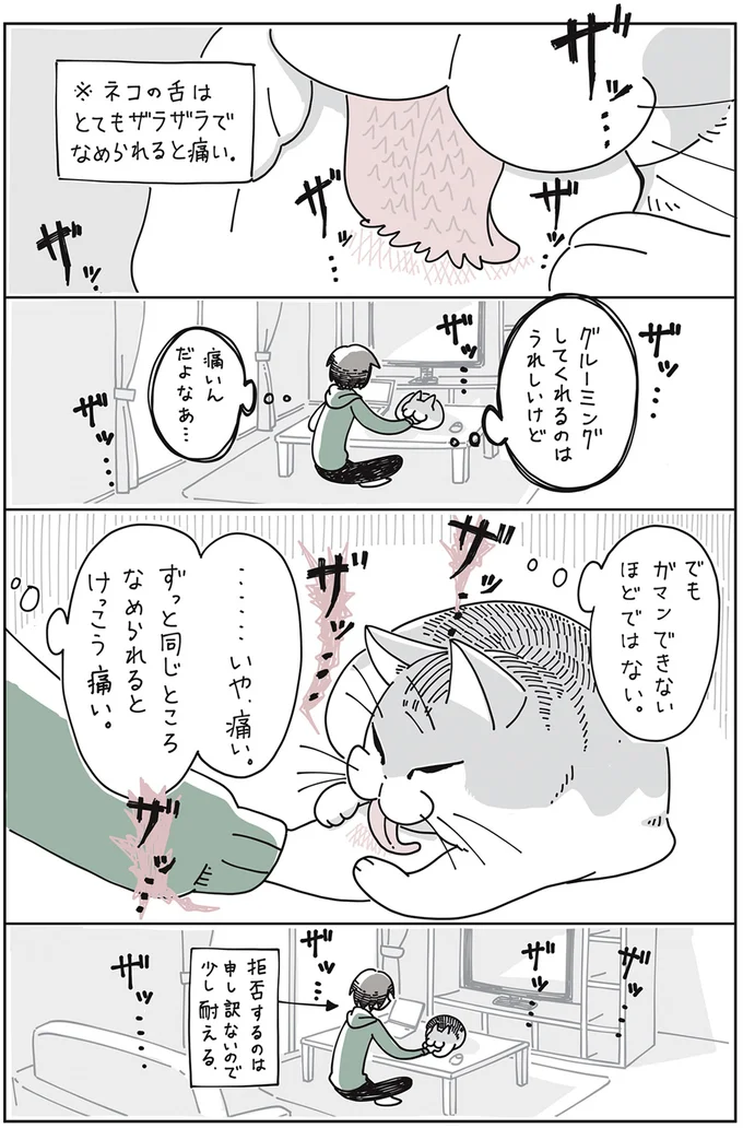 『夜は猫といっしょ』1～3 15649966.webp