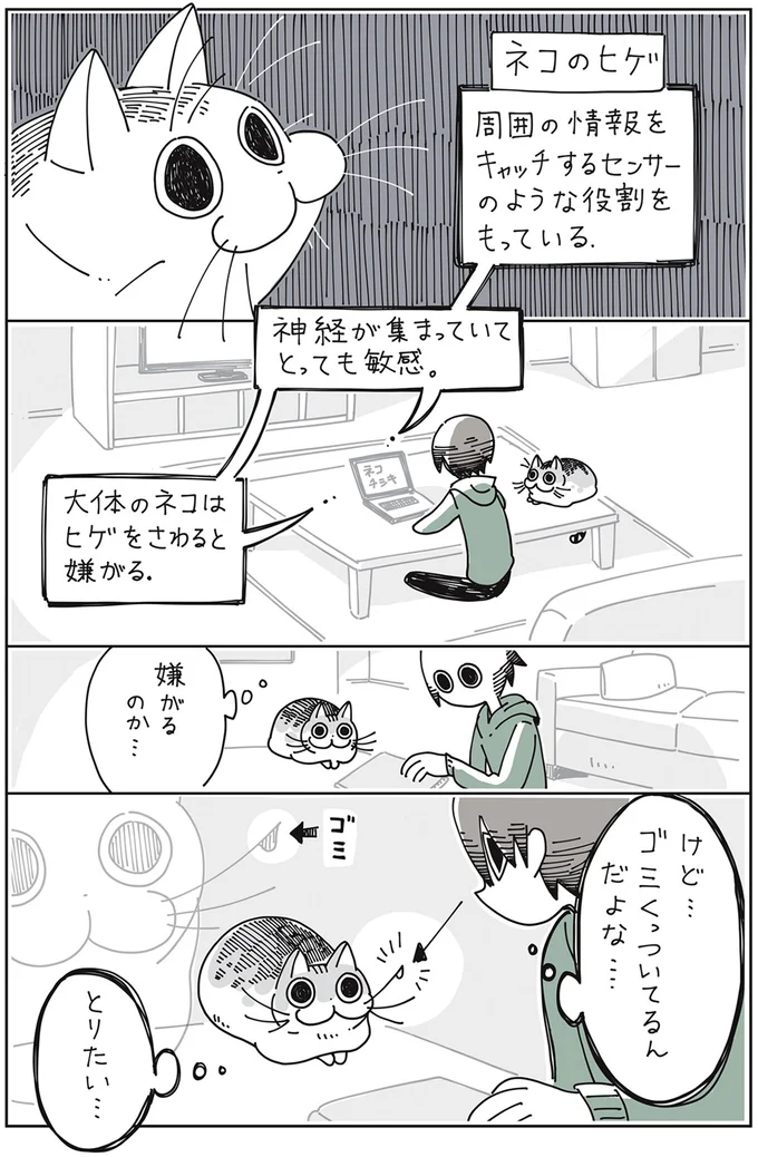 『夜は猫といっしょ』1～3 15649970.webp