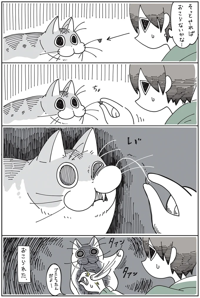 『夜は猫といっしょ』1～3 15649971.webp