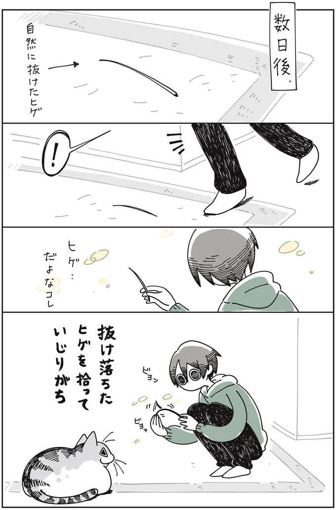 『夜は猫といっしょ』1～3 15649972.webp