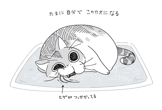 『夜は猫といっしょ』1～3 15649973.webp