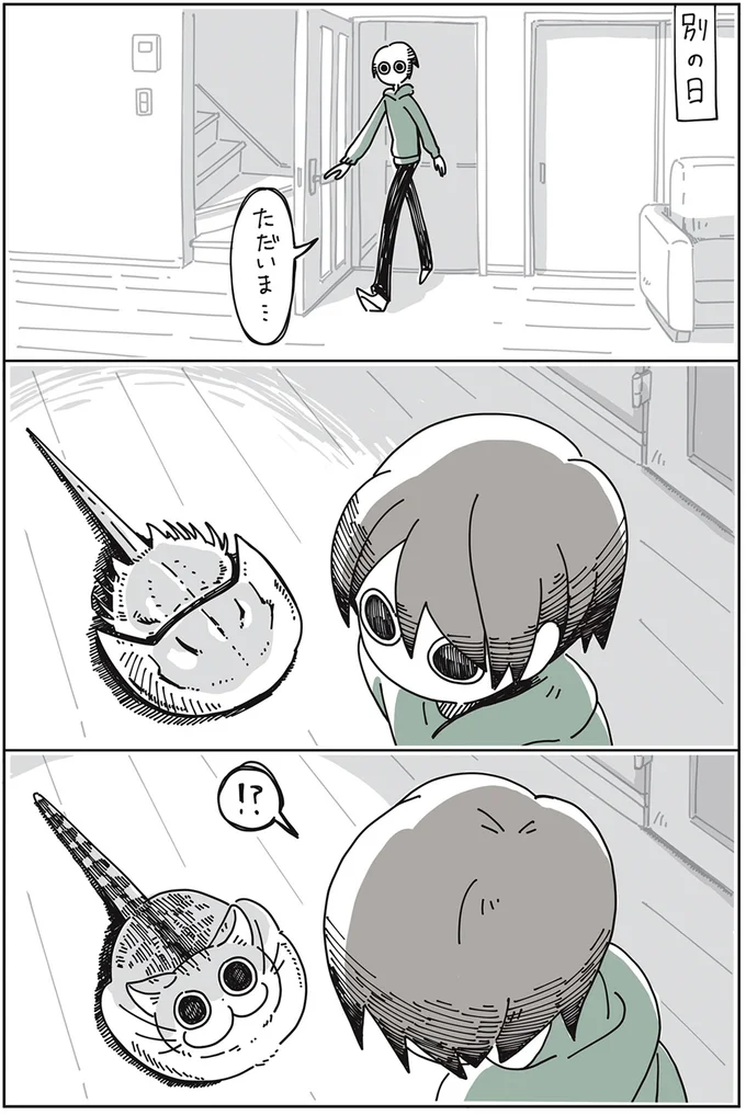 『夜は猫といっしょ』1～3 15649977.webp