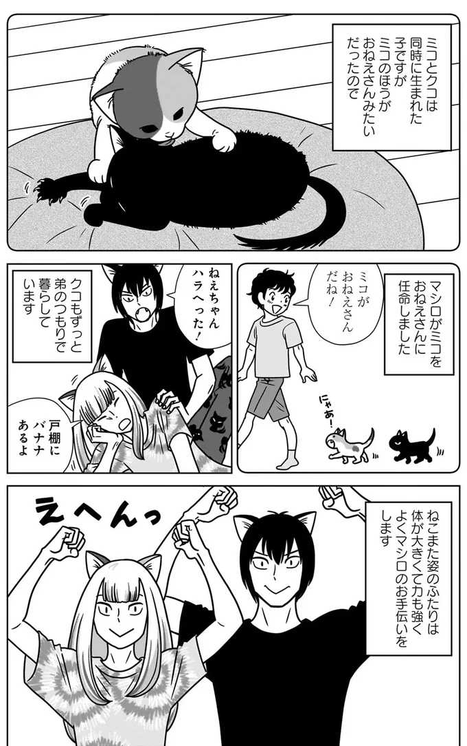 『ねこまた印の染物屋さん』 15650331.webp
