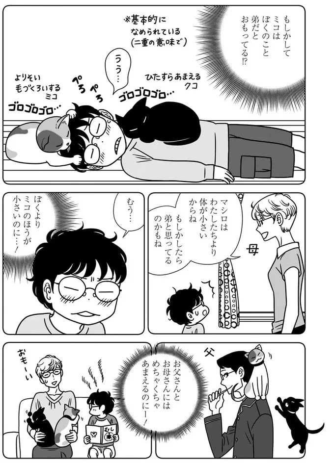 『ねこまた印の染物屋さん』 15650333.webp