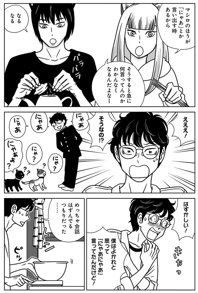 『ねこまた印の染物屋さん』 15650352.webp