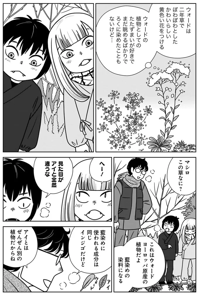 『ねこまた印の染物屋さん』 15650370.webp