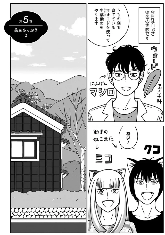 『ねこまた印の染物屋さん』 15650378.webp