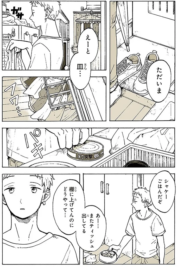 『特別じゃない日』 15666997.webp