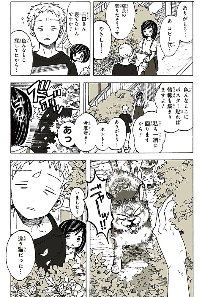 『特別じゃない日』 15666999.webp