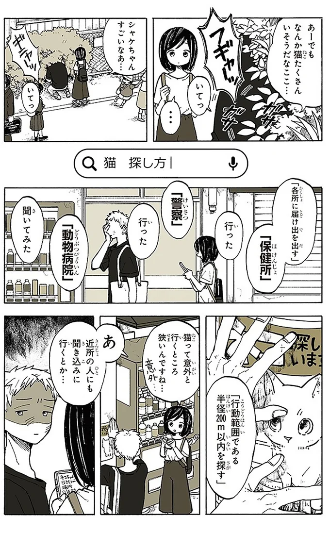 『特別じゃない日』 15667000.webp