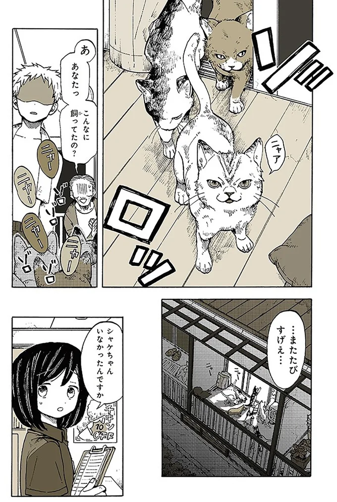 『特別じゃない日』 15667007.webp