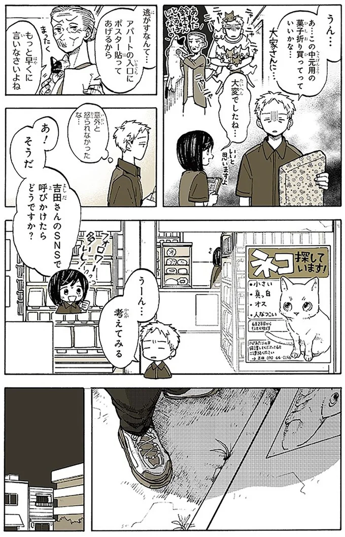 『特別じゃない日』 15667008.webp